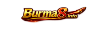 Burma8 logo